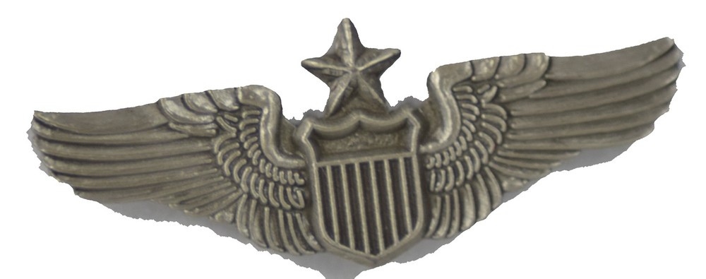SENIOR PILOT HAT PIN