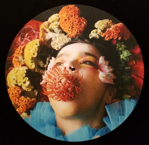 BJORK Dazed Cover NEW SINGLE SLIPMAT
