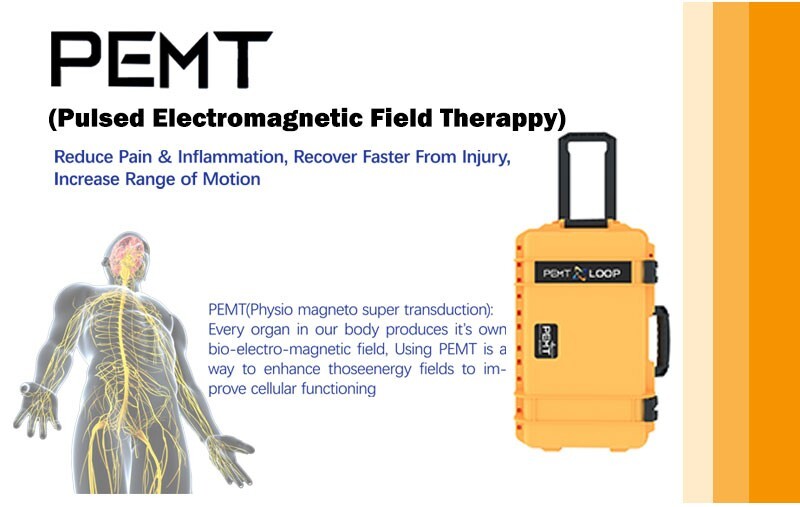 Hot US Warehouse PEMF PMST Loop Magnetic Therapy Machine Ship Fast