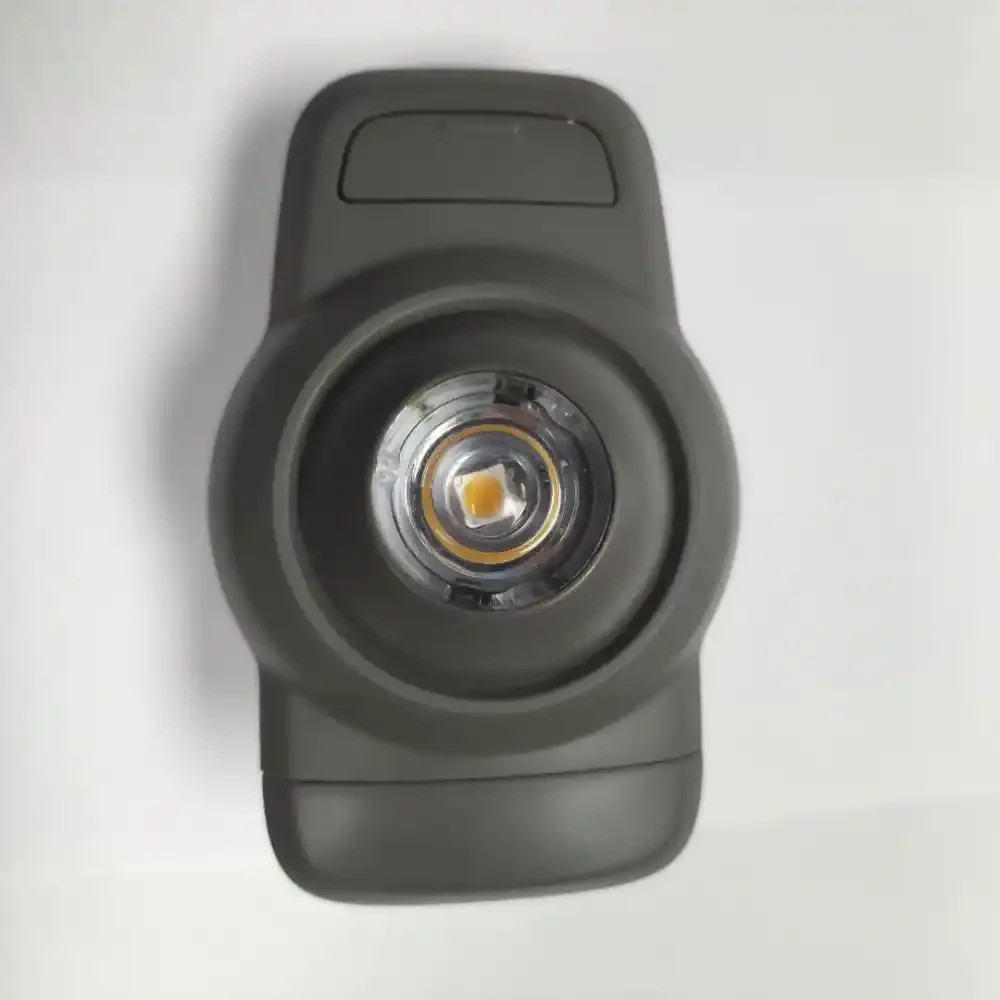 Interior Light for Peterbilt 579- P54-1213-101720