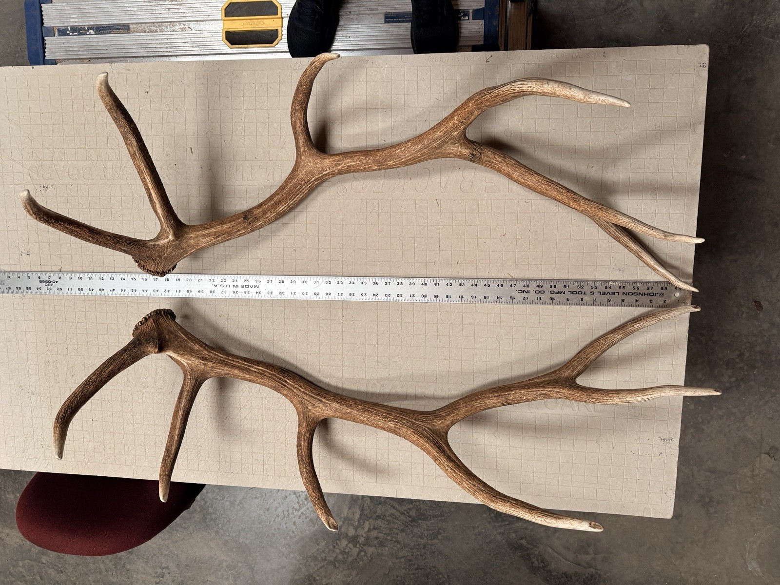 6x6 Set Of Elk Sheds ~ Elk Antlers ~ Cabin Decor