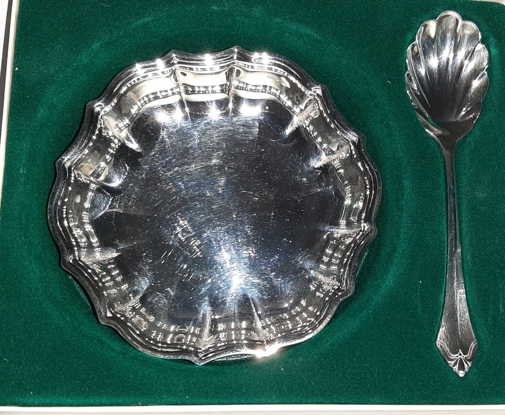Oneida Silverplate Hostess Server & Spoon in box
