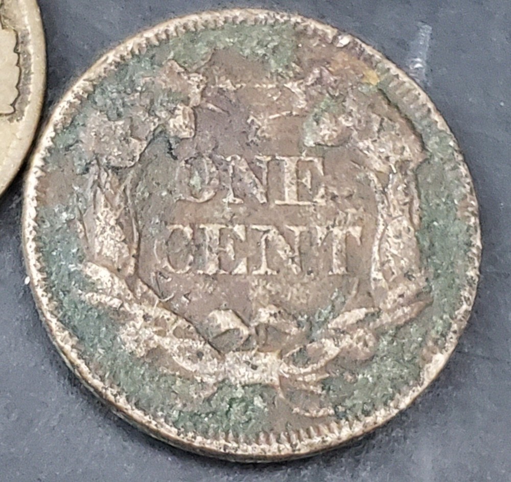 9 Mixed Flying Eagle & Indian Cent Collection