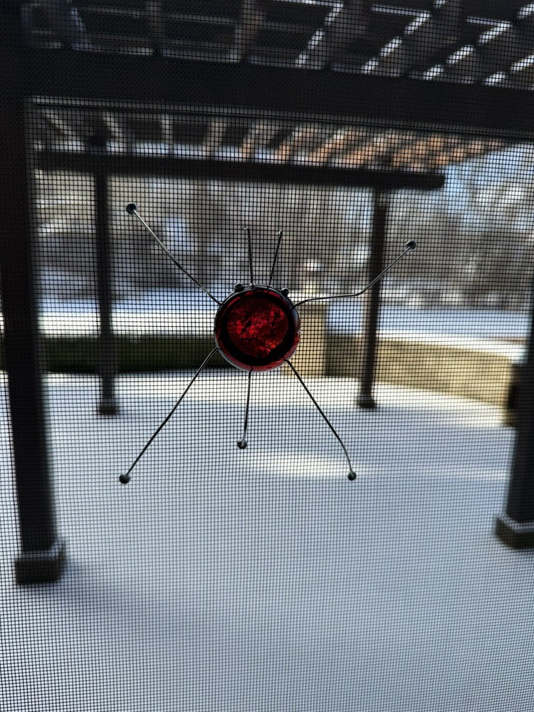 Glass Spider (Screen Bug Art)