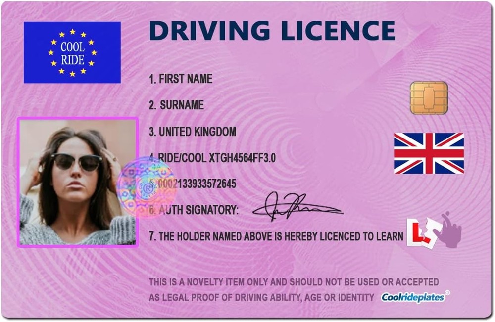Novelty Personalised Learner Driver Photo Licence Set