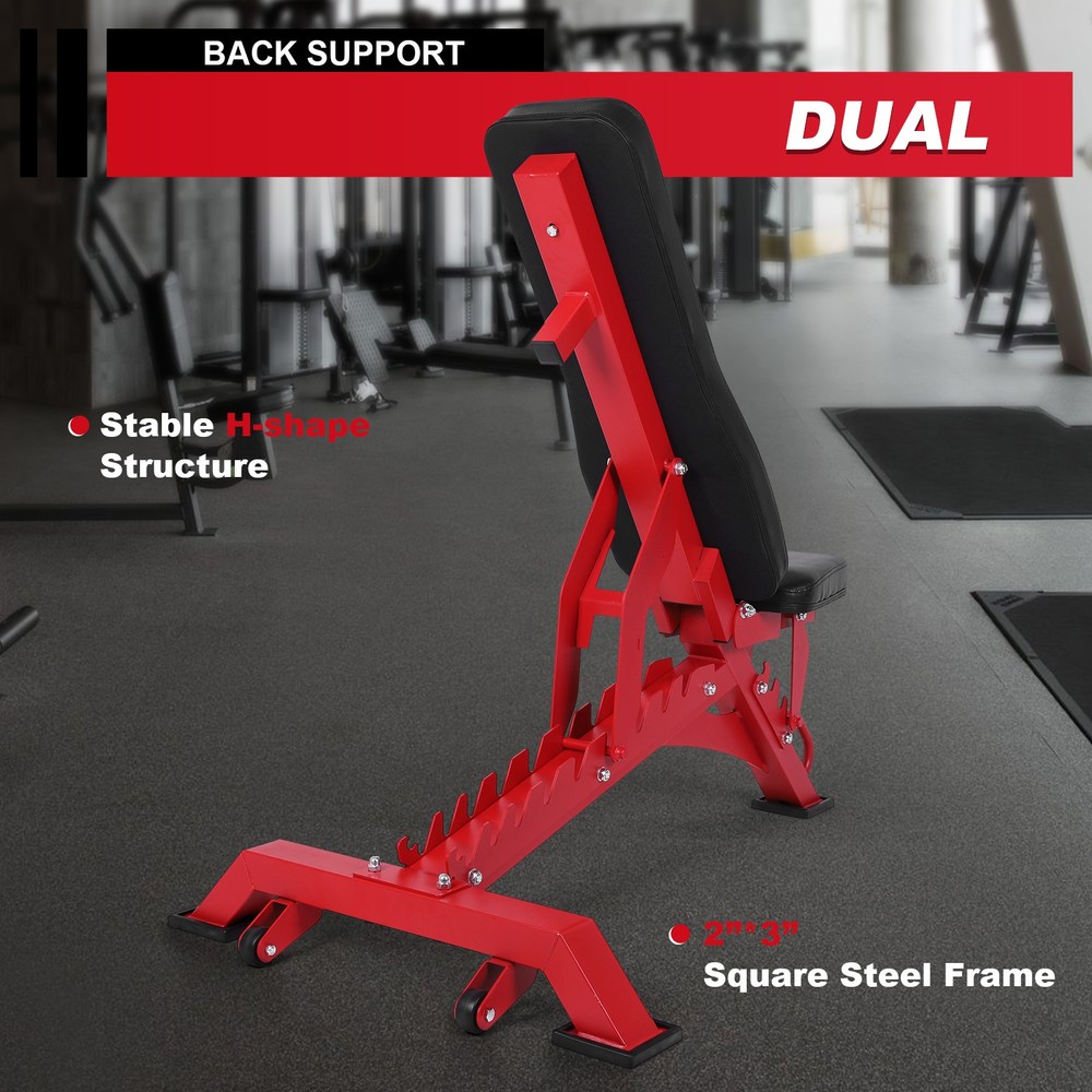 Workout Bench Adjustable Strength Training Bench Exercise Bench for Home Gym