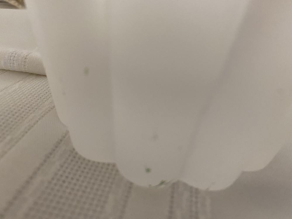 Crystal & Frosted Vase