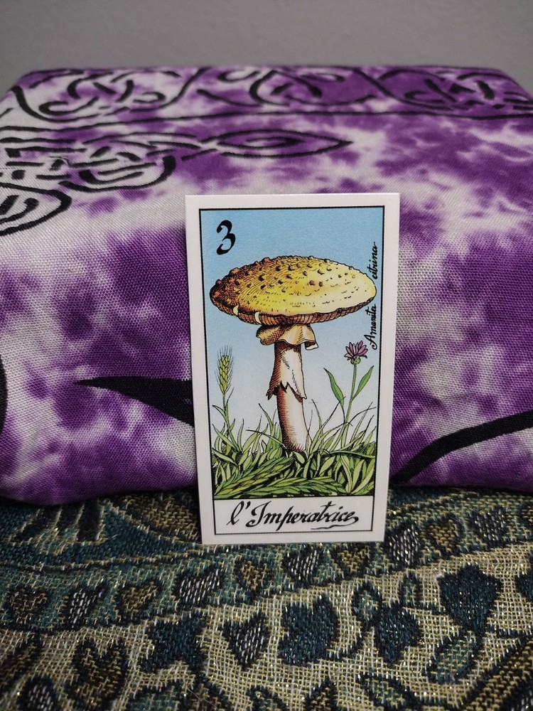 Fungus Tarot by Meneghello 1987
