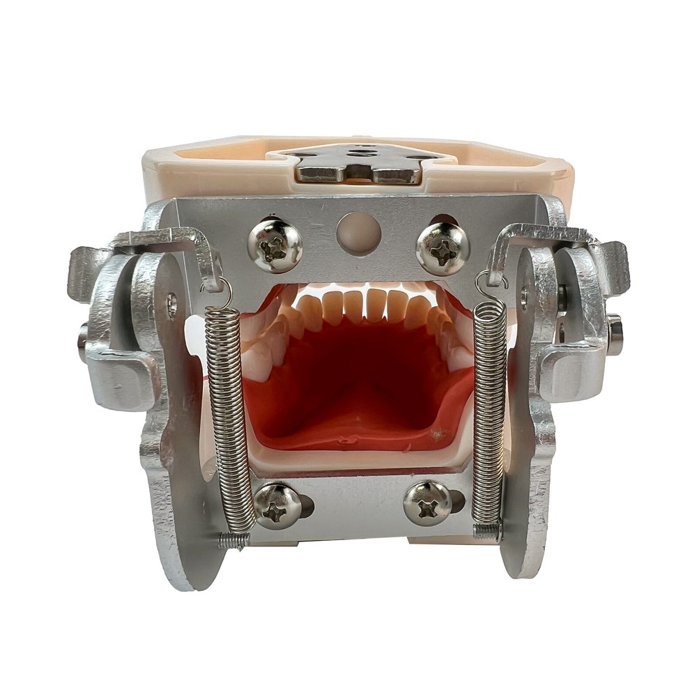 Dental Phantom Head Model Silicone Mask 28Pcs Screw Fixed Teeth Simulation Model