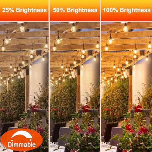 S14 LED Bulbs for Outdoor String Lights, Shatterproof Replacement 36 Pack Warm