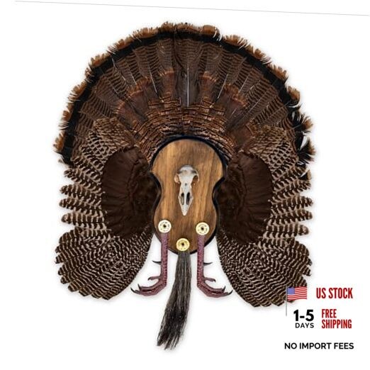 Ultimate Turkey Mounting Kit, Plaque, Beard, Fan, Universal (Model: MMR UTP)