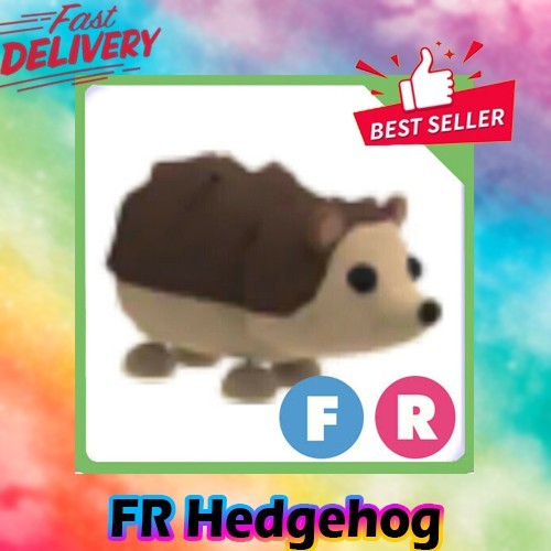 FR Hedgehog *Adopt right now*