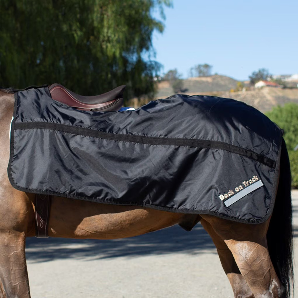 Back on Track Therapeutic Nylon Exercise Sheet 78”