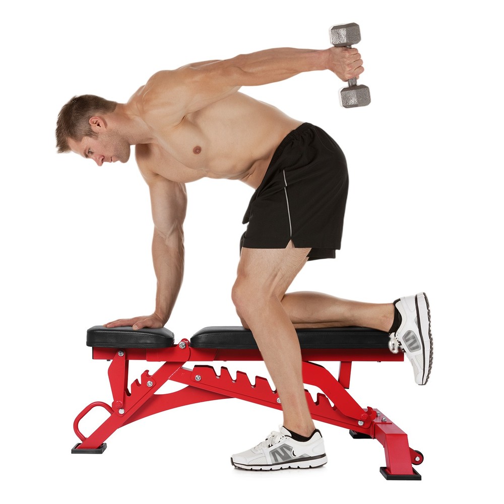 Workout Bench Adjustable Strength Training Bench Exercise Bench for Home Gym