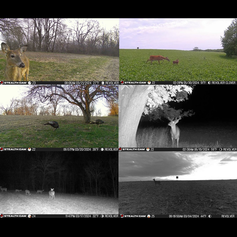 Stealth Cam Revolver Pro 360 Degree Cellular Trail Camera Bundle