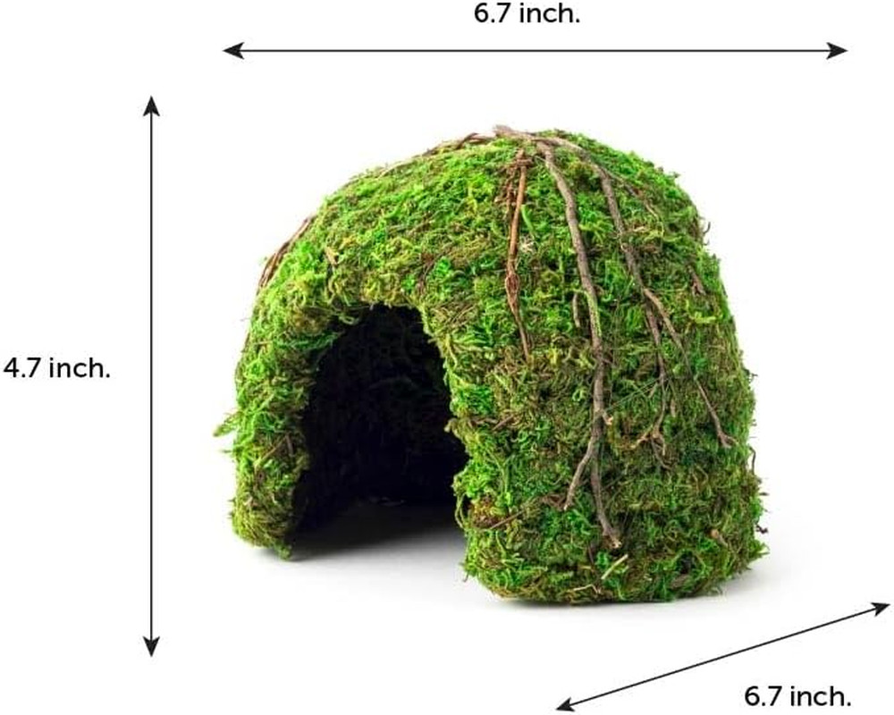 (05366 Mossy Dome Hide, 6 In, Green