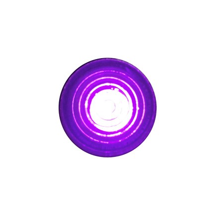 United Pacific 39317 LED Indicator Light, Purple