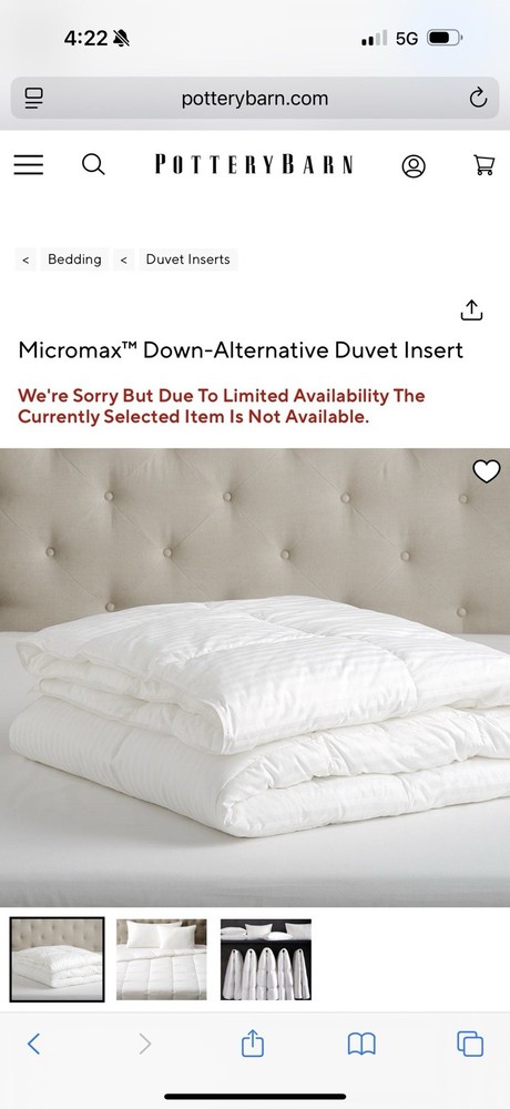 Pottery Barn Down Alt Duvet Insert- King