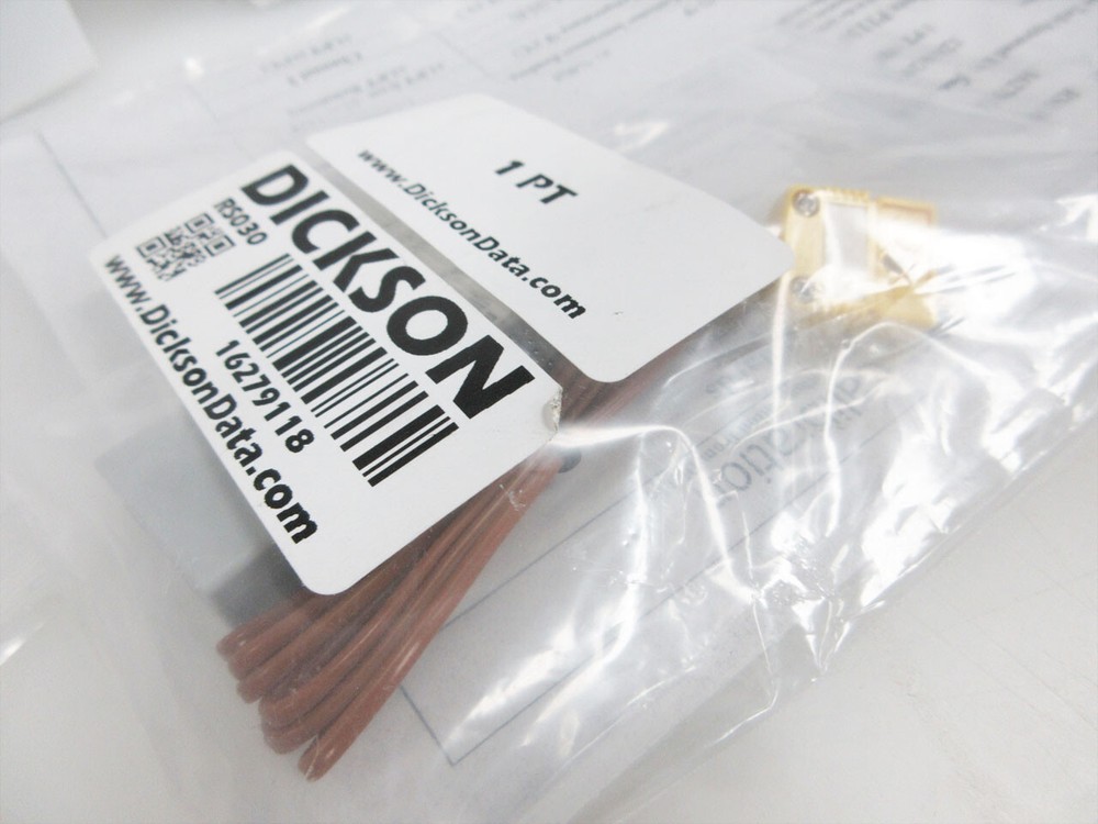 DICKSON DSB 2-CHANNEL DISPLAY LOGGER USB & RS030 TEMPERATURE SENSOR - V