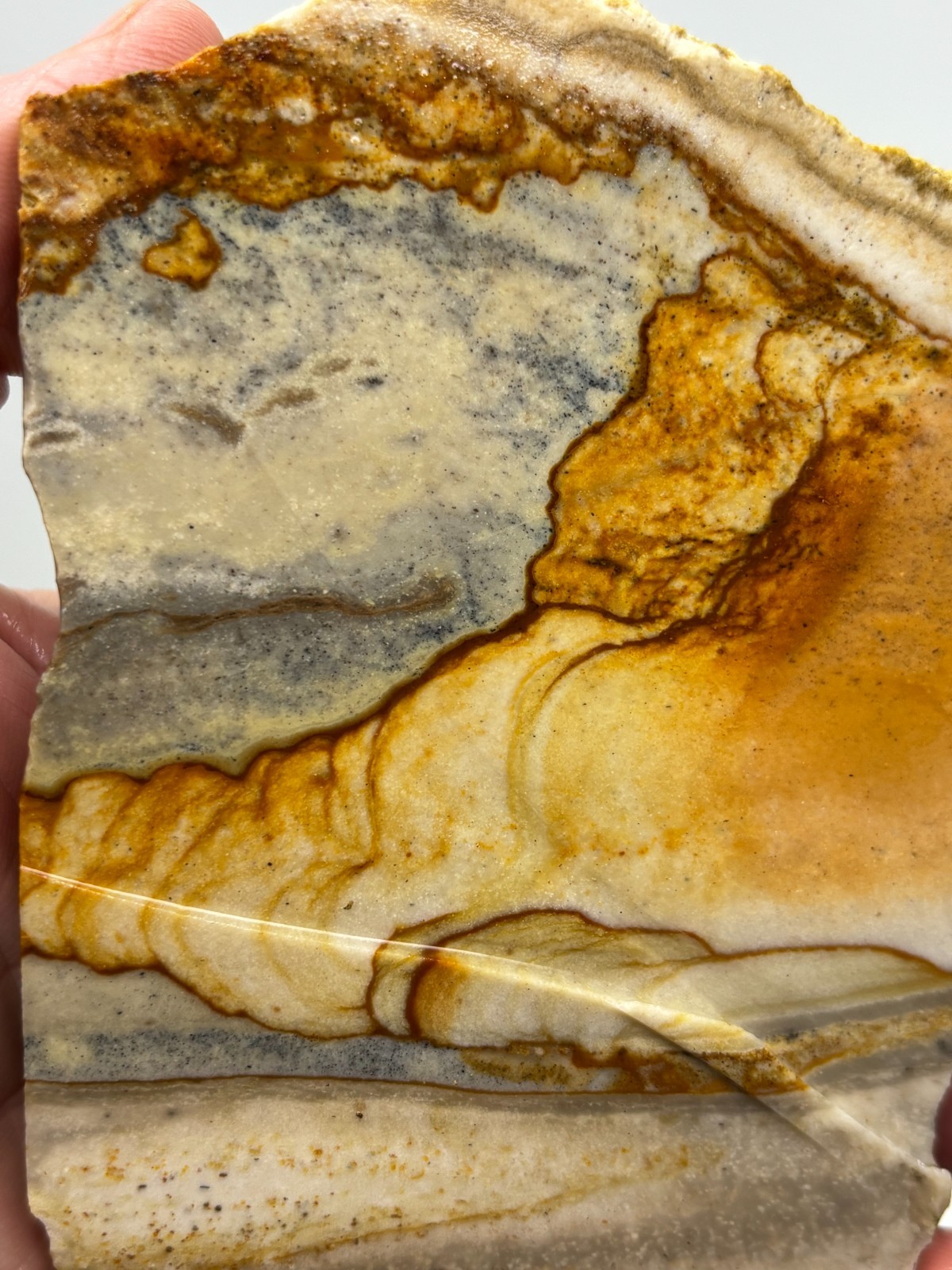 Disaster Peak Picture Jasper end slab Cabbing Lapidary Collecting Combo Ship Avl