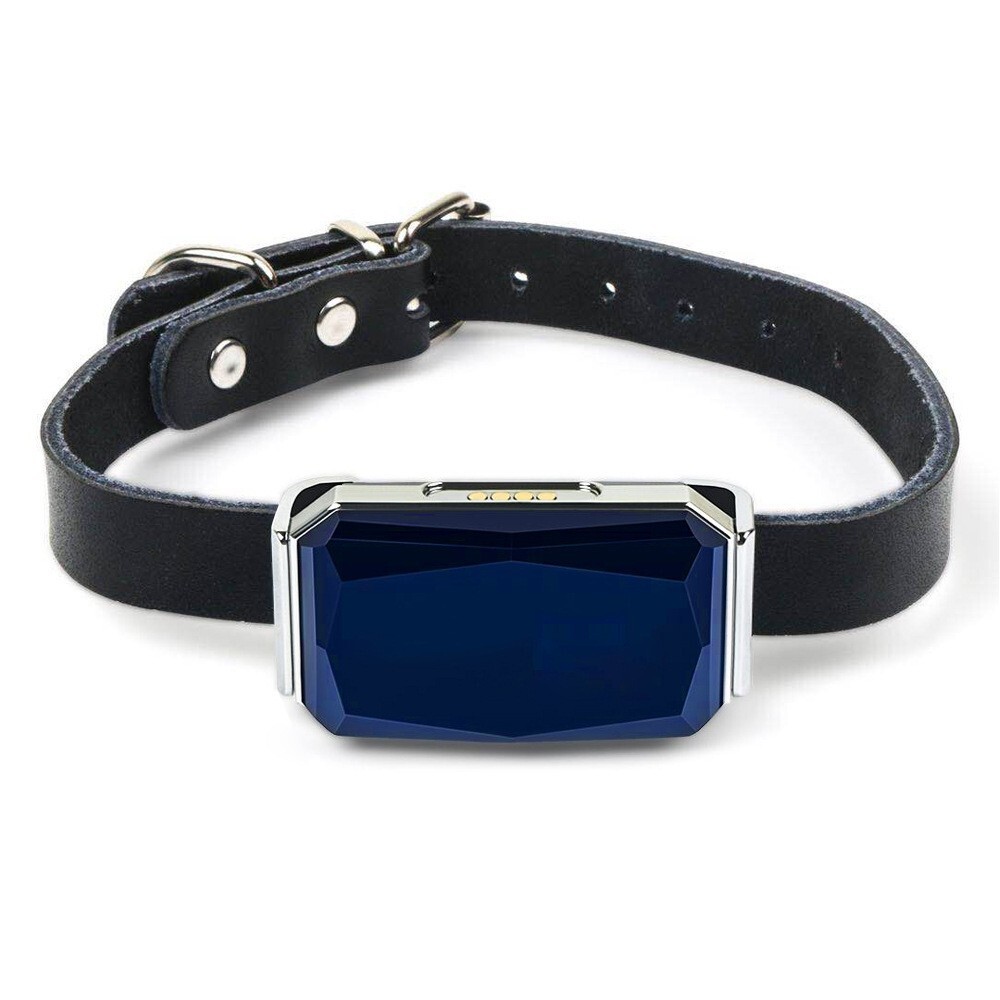 gps tracker for dogs