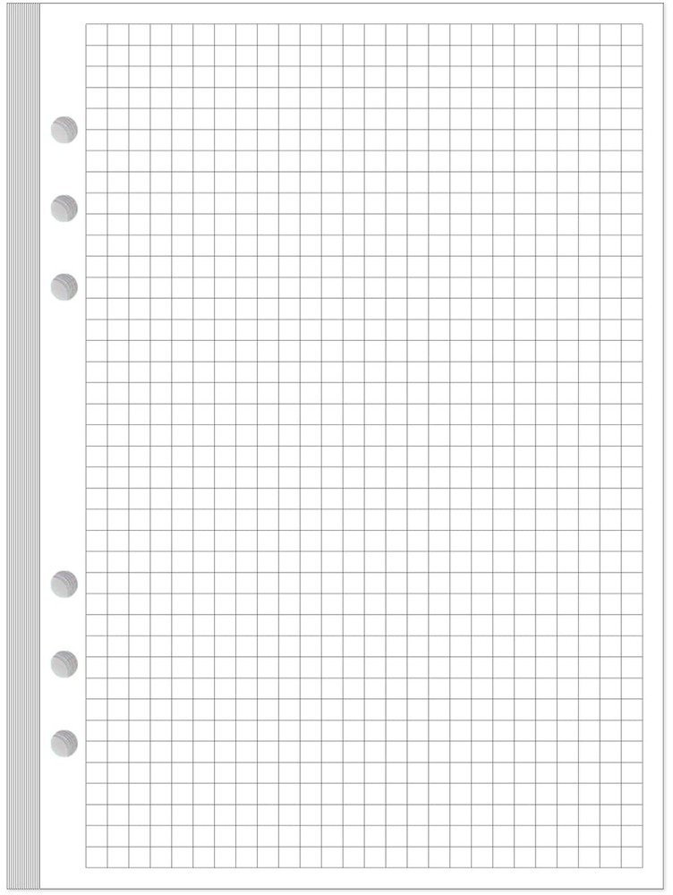 A5 Grid Refill Paper, 6-Hole Graph 100Sheets / Blue,Clear,White