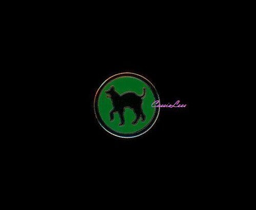 USA 81st Inf. Div. + a custom promo pin