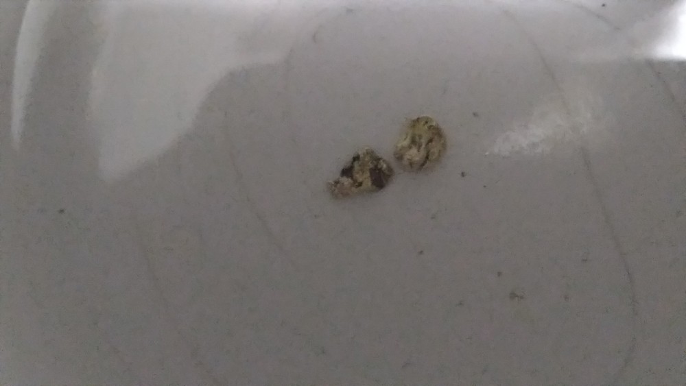 Gold Nuggets