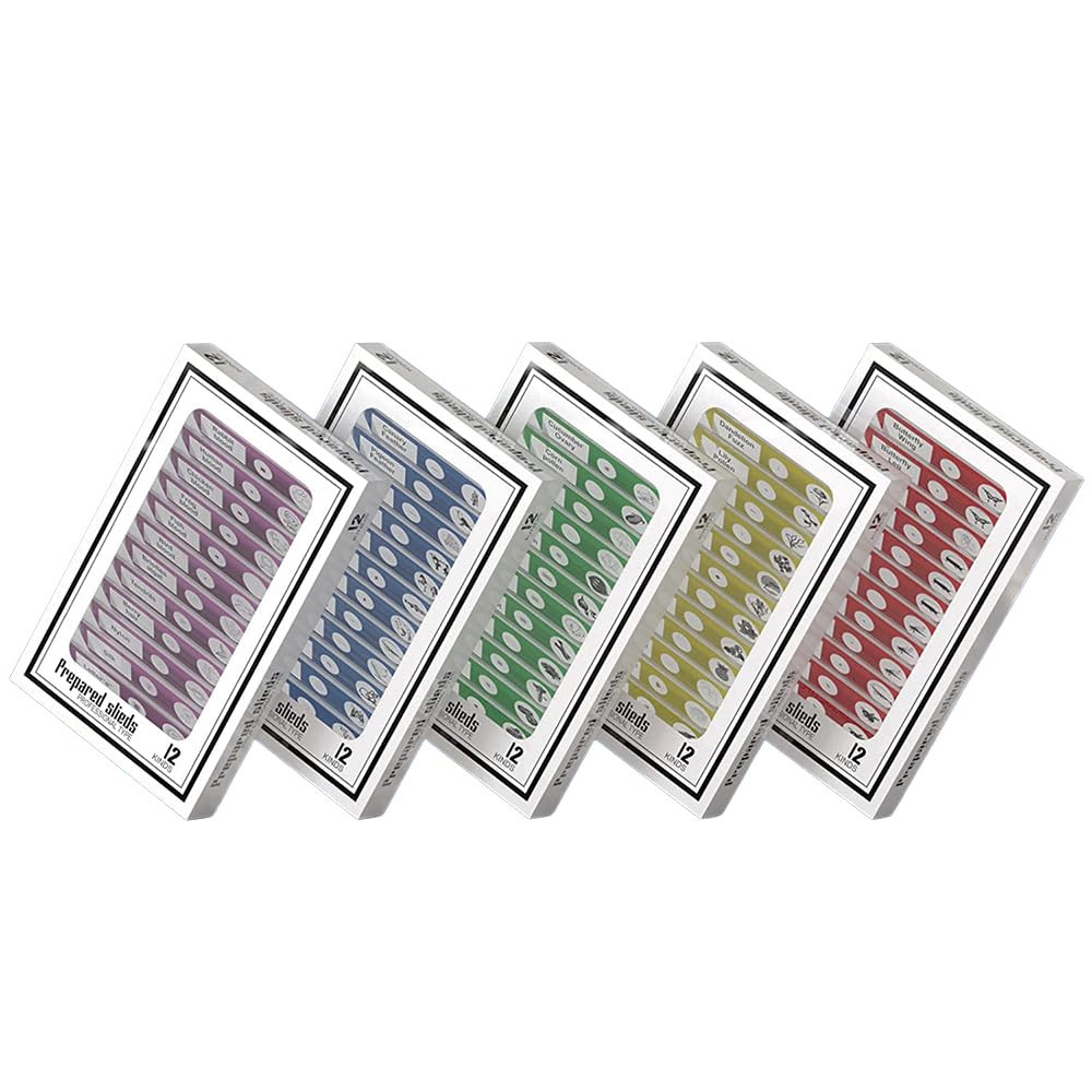 60Pcs Prepared Microscope Slides Specimen Animals Insects Plants Flowers Sample