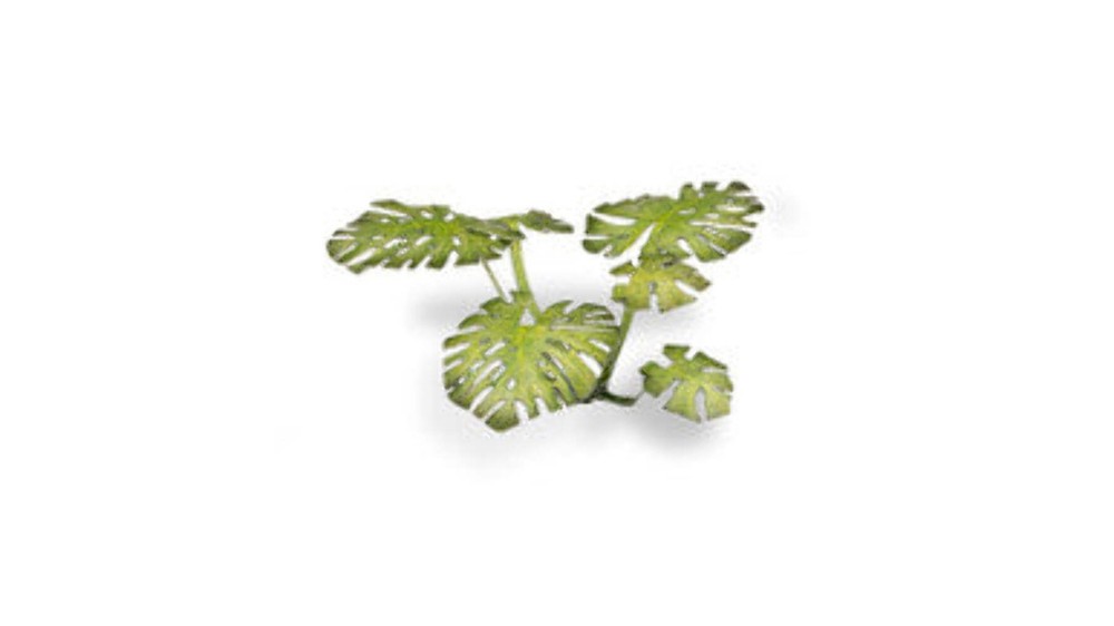 Gamers Grass Laser Plants - Monstera