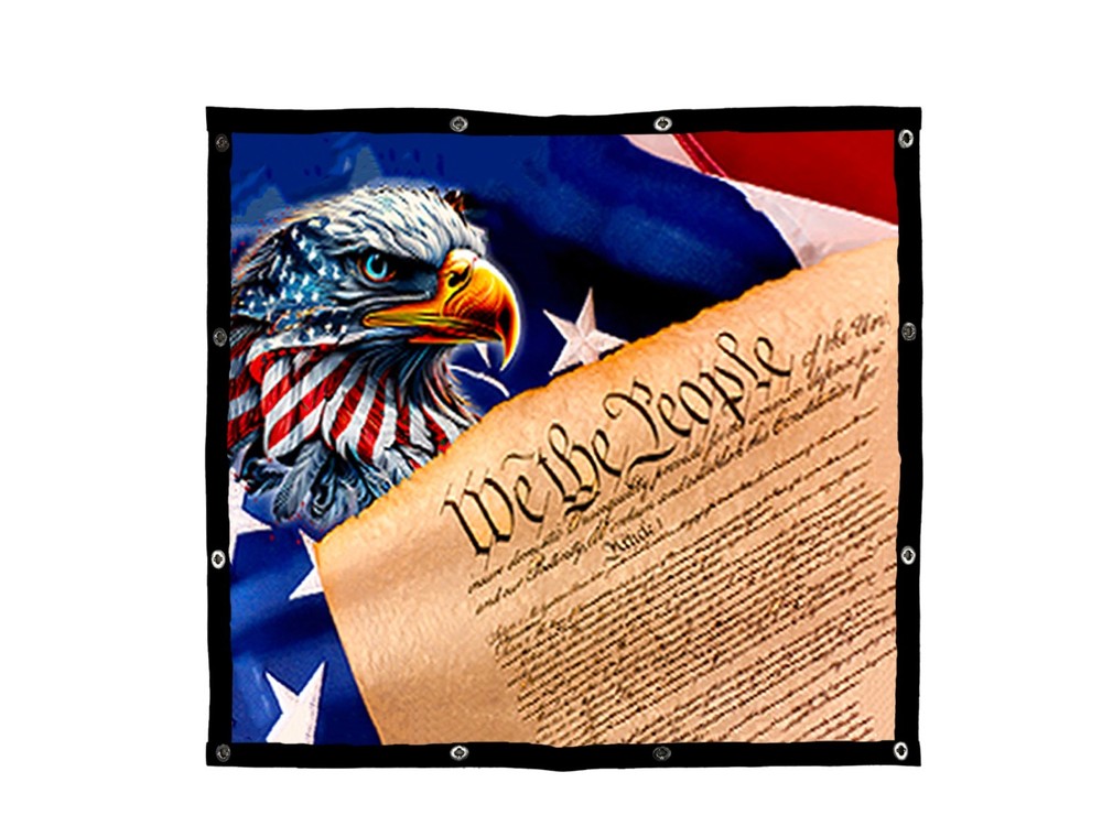 Premium GrilleAdz USA Eagle Flag Constitution Bugscreen for Peterbilt 589