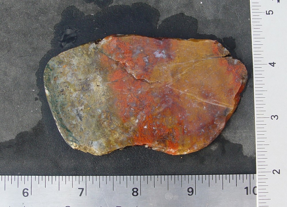 Macaw Agate from Mexico   Lapidary Slab                   T826