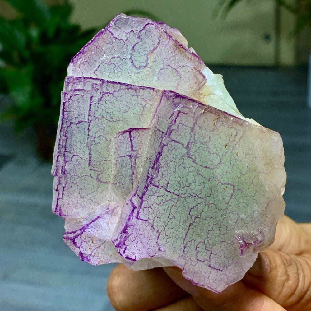 3 Code"Fluorite Cluster Crystal Mineral Specimen/Guizhou
