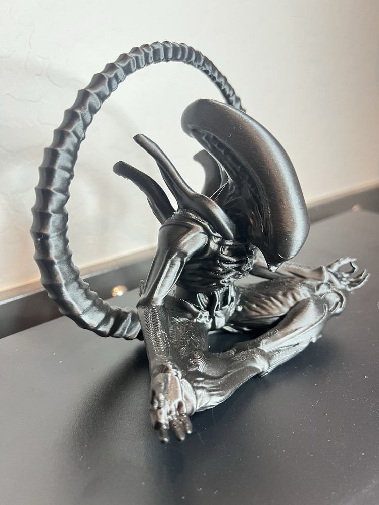 Alíen Xenomorph 3D Frame
