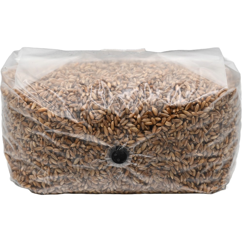Sterilized Rye Berry Grow Bag (5lb)