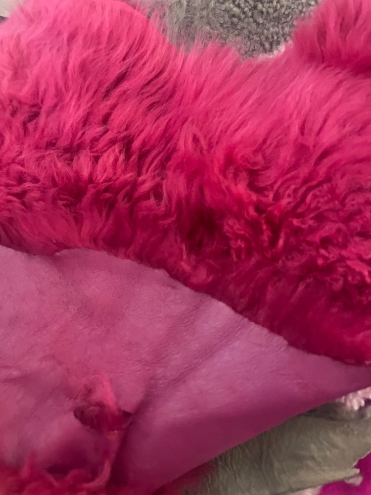 18 Shearing lamb hides big lot.