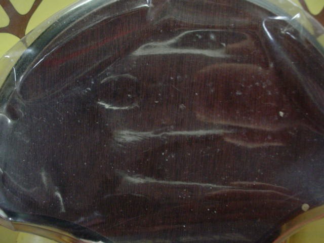 H.S. Strutt- Turkey Tail & Beard Mounting Kit-Hunters Specialties- New !