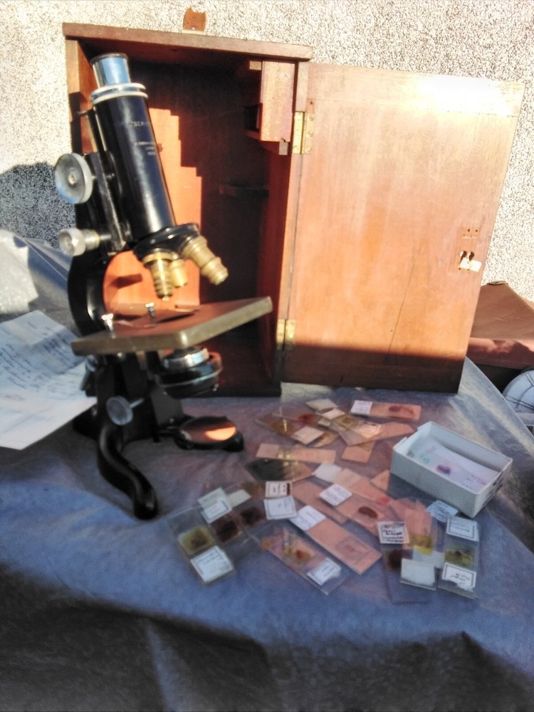 MICROSCOPE WATSON & SONS SERVICE MICROSCOPE AND CASE AND GLASS SLIDES