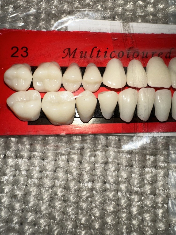 28Pcs/Set Dental Material Universal False Teeth Resin Teeth Model Durable