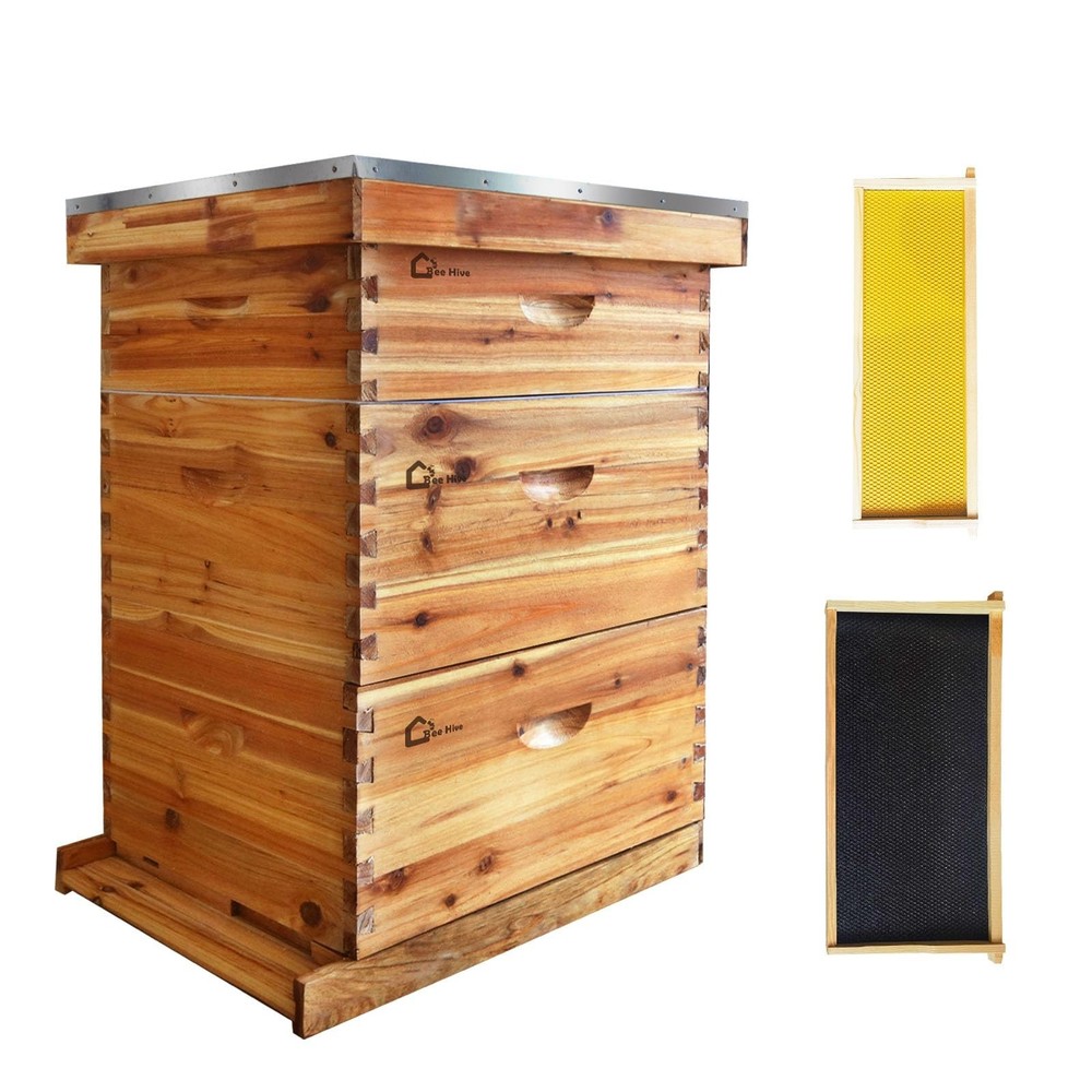 10-Frame Complete Beehive Frame Kit Wax Coated w/ 2 Deep Box 1 Medium Bee Box