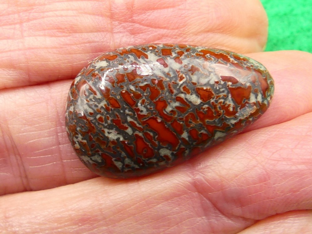 Beautiful Dinosaur Bone Cabochon* Pendant * 15 cts.
