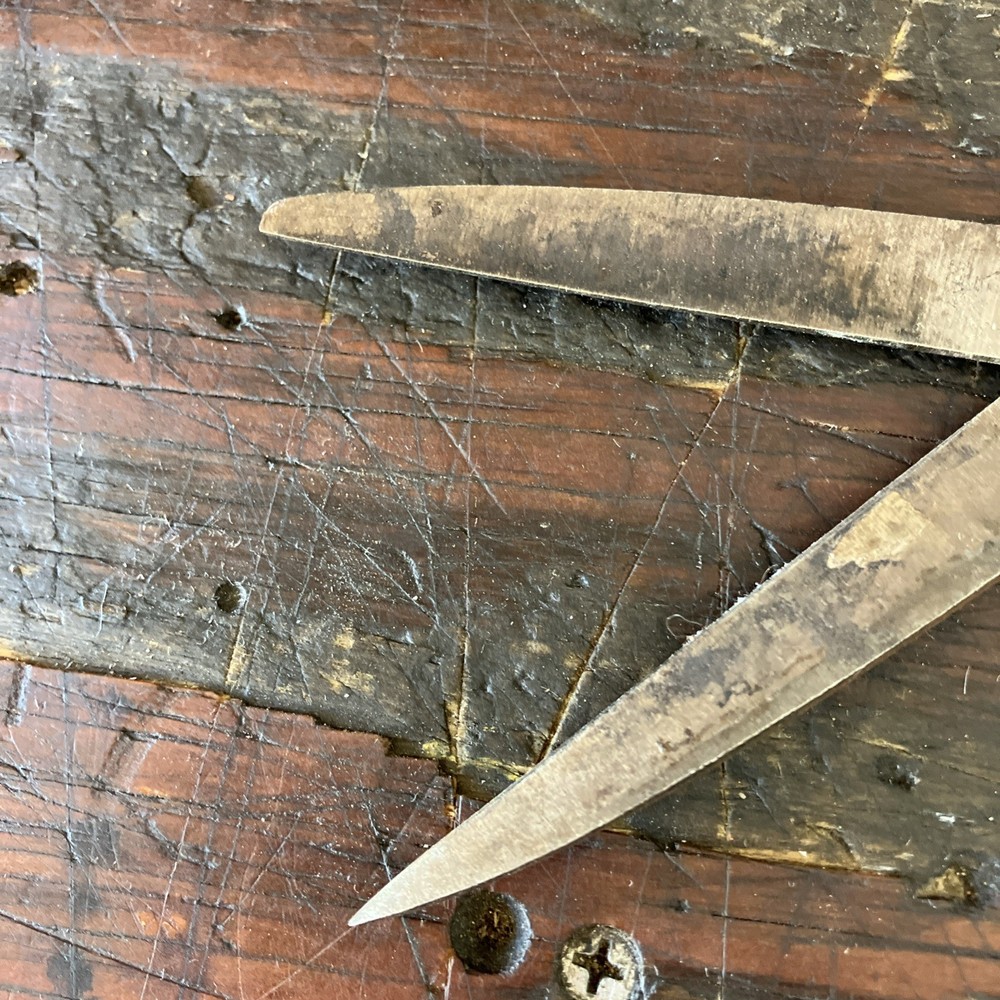 Antique/ Vintage Scissors