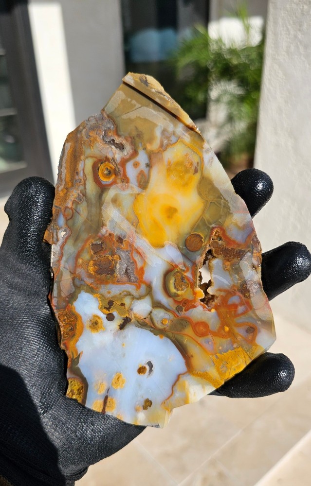 Polka Dot Agate Rough Cut Slab Oregon