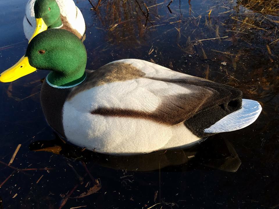 Drake Mallard Full Body Decoy Flocking Kit