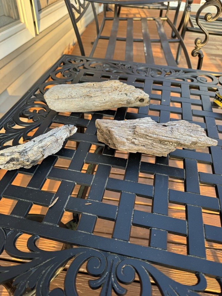 Driftwood