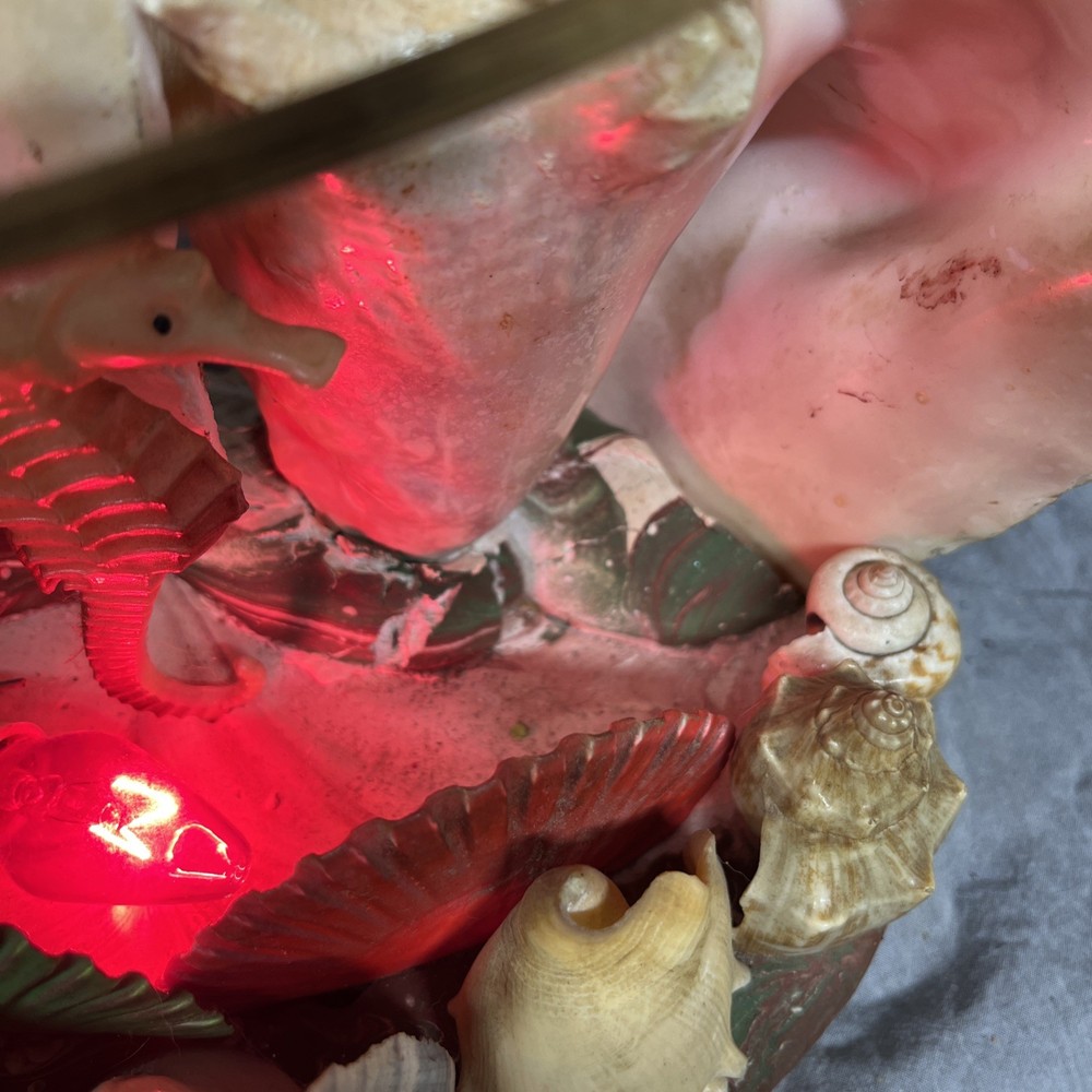 Handmade Sea Shell Display With Light