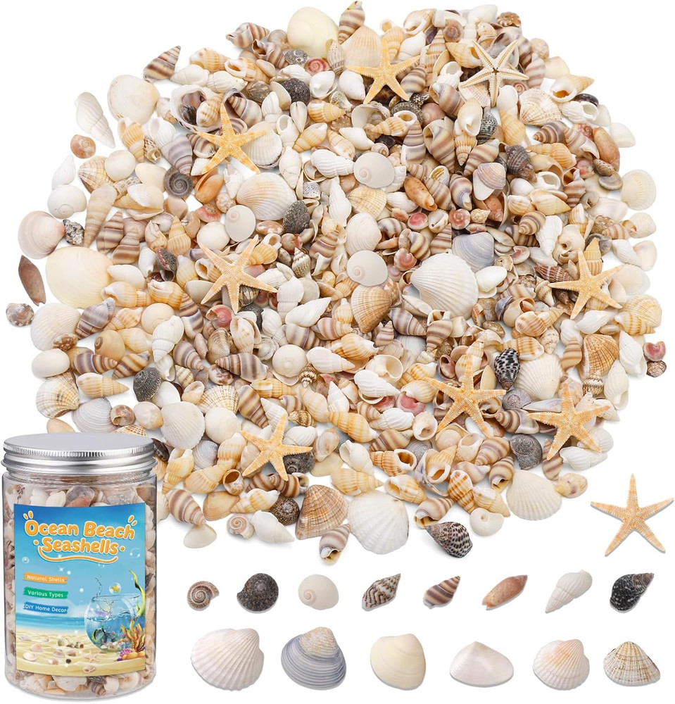 1200 Pcs Tiny Sea Shells, Seashells for Crafts with Small Shells Starfish Mixed