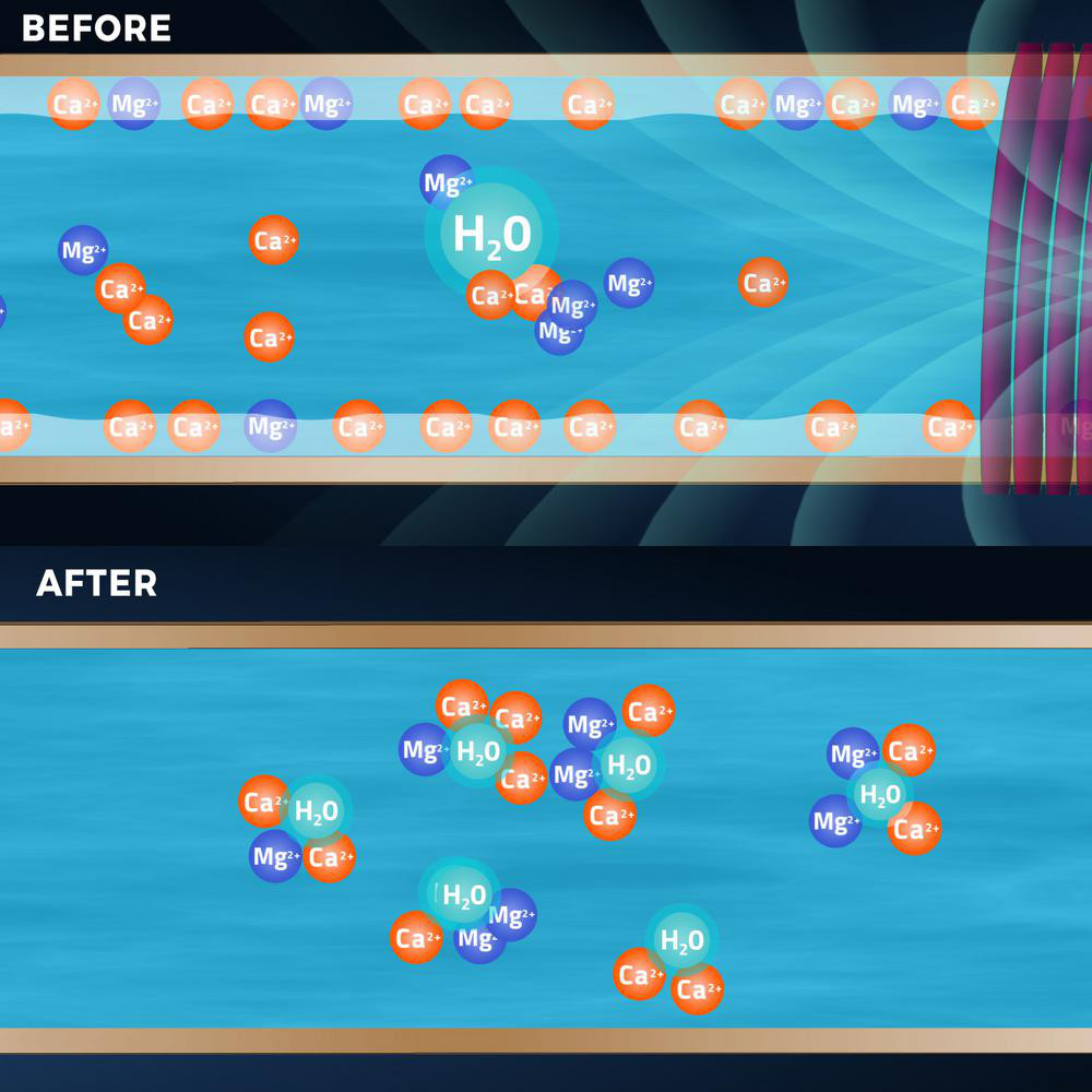 Electronic Water Descaler System Reduces Limescale, Rust, and Minerals