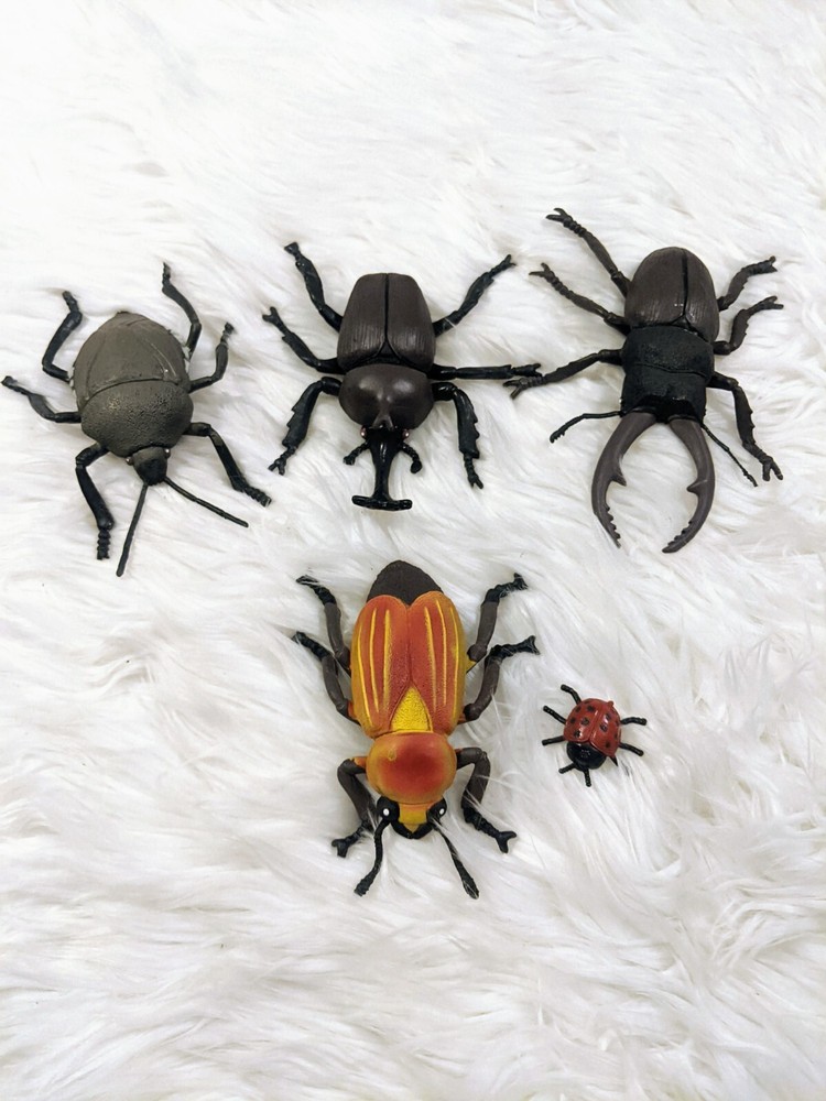 Insect Bug Books With Plastic Bugs