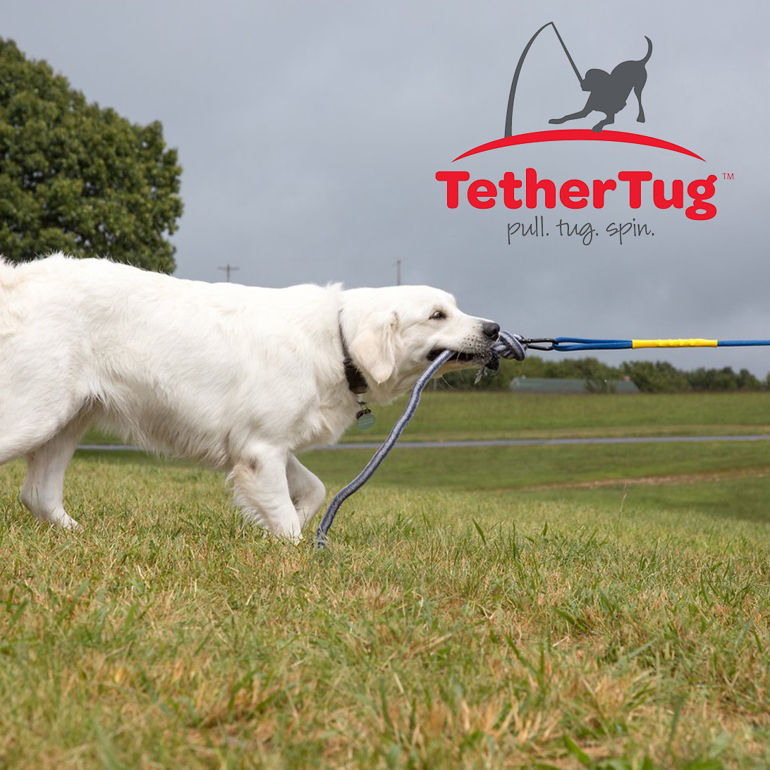 Tether Tug V2 Outdoor Dog Interactive Toy Tugging Pull Exercise 5-70 lbs and Up
